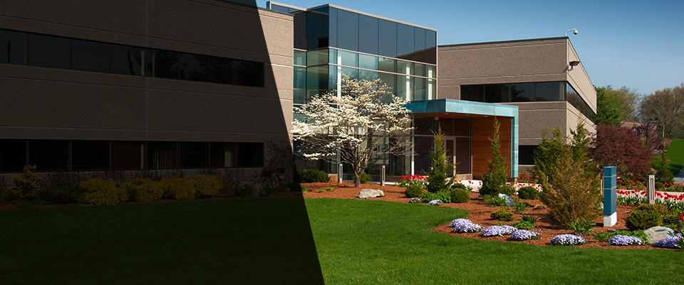 Allegany Landscapers