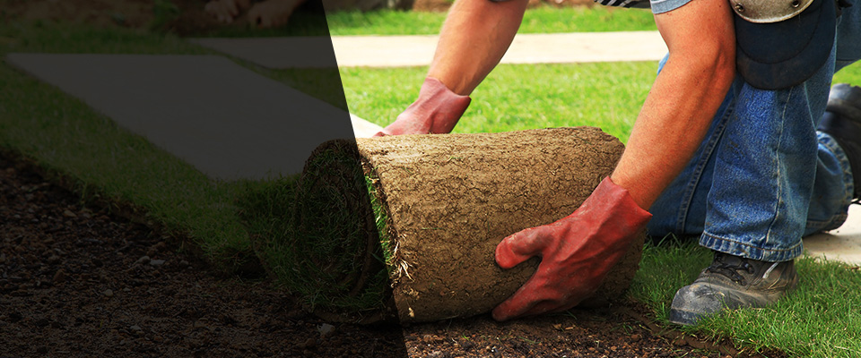 Allegany Landscapers